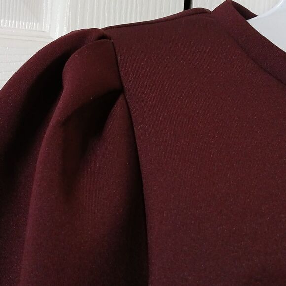 Stella &  Dot deep eggplant color long sleeve pleated sleeve top  Sz S NWT - Picture 2 of 6